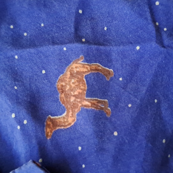 Silk 1993 Camel Joe top - Picture 4 of 6